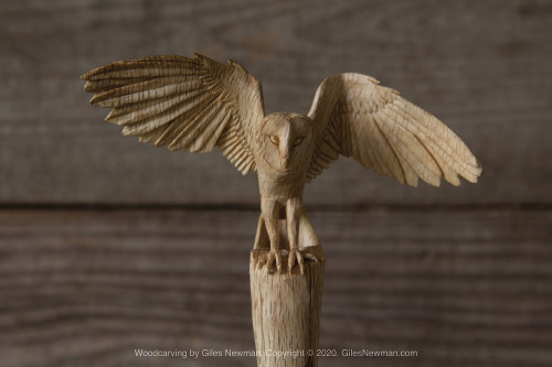 gilesnewman:The Barn Owl Spoon (2018) - SoldCarved in English Oak by axe and knife.This spoon was in