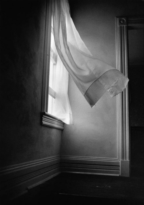 Harold Feinstein, Breezy Curtains (Vermont), 1978