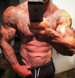 Adonis Files