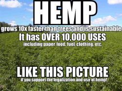 kitsunebaba:  g00kie-m0nster:  peacefulvibes:  stonefreedreamer:  This had nothing to do with smoking weed or getting high. This is about our earth. This is about our future. This is about the future of our race as humans.   I am all for hemp. Hemp is