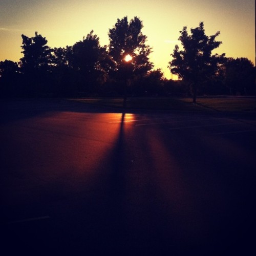 #tree #sunset #shadow #goldenhour