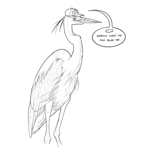 hickorybird - hickory bird ποΈ