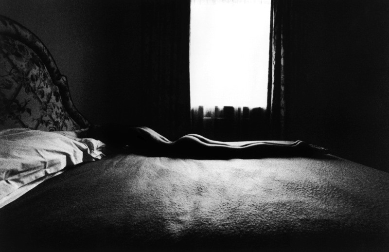 bonvivanski:
“terence donovan
”