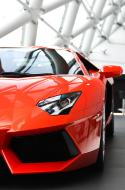 automotivated:  AVENTADOR (by Mitch Wilschut | Photography) 