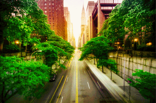 sleepless-symphony:  I absolutely love gifs like this. The seasons really are the only true sense of time available! 