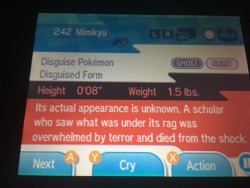 notlostonanadventure:  amazingcacti:  Mimikyu fuckin killed someone  Mimikyu is fucking terrifying and y'all want to cuddle