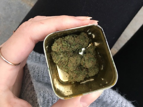 xoellle:  best little stash jar from @sp4c3scum