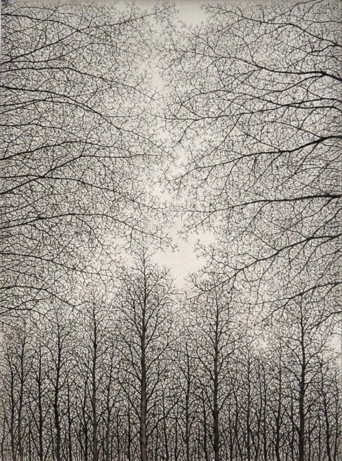 iamjapanese:  Sōichirō TOMIOKA（富岡惣一郎 Japanese, 1922-1994） Trees    oil on canvas   via