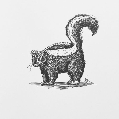 Inktober Day 21: Skunk #skunk #zorrillo #inktober #micron #sakura #illustration #nadilynbeato #nadil