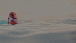 nicksmiller:  gtkm: [1/10] animated filmsfish are friends, not food! 