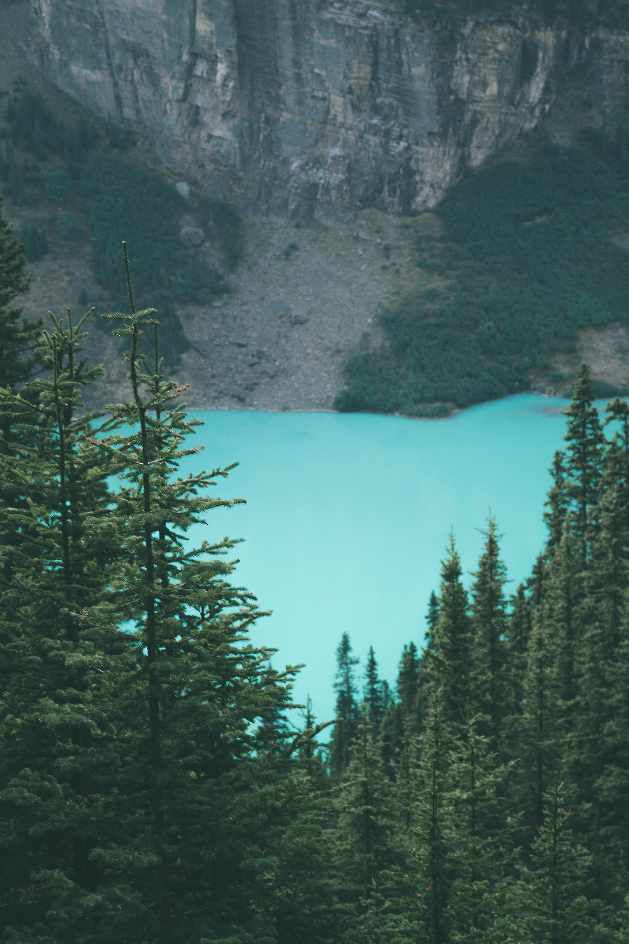 hannahkemp:  Canada September 2017Prints//Instagram