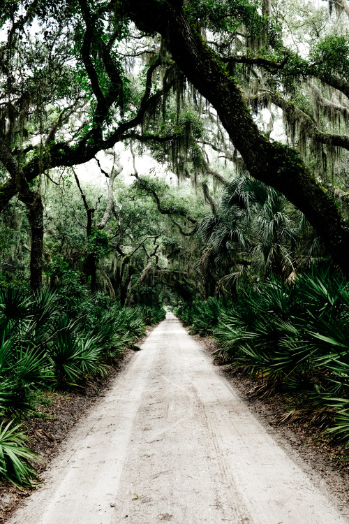 photographersdirectory:Cumberland Island.