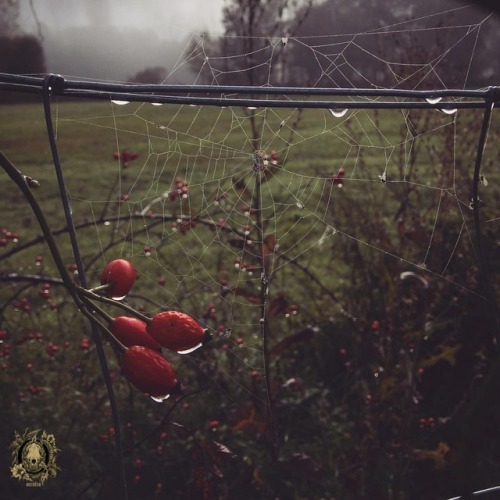 occvlta - A bit of Autumn Magic in the Pyrenees of Lleida. Red...