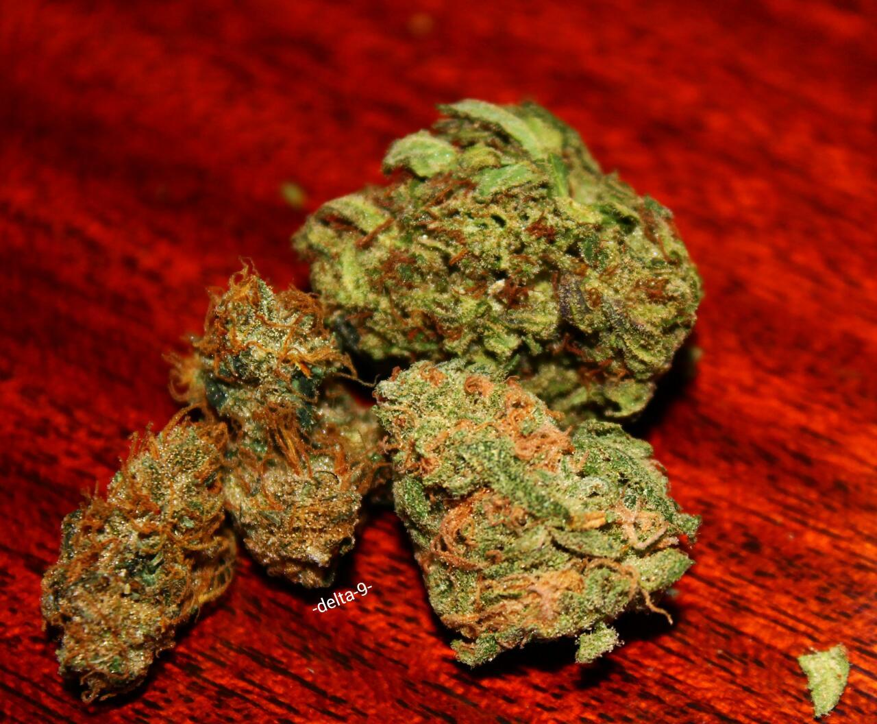 -delta-9-:  A nice contrast of, Amnesia Haze, Blue Dream and some Kryptonite OG.