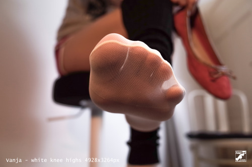 toegirls:Vanja - white knee highs