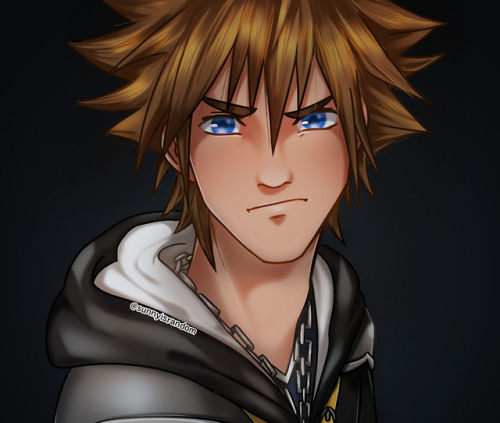 Have a bunch of KH screenshot redraws to celebrate the release of Kingdom Hearts 3!! 