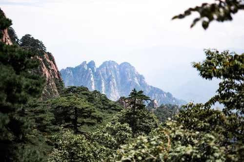 weekend trip from shanghai to huangshan:we took the yuping (jade screen) cable car up to the essenti
