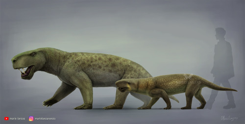 mariolanzas:INOSTRANCEVIA and GORGONOPSFrom my latest video on Synapsid along with many others.___In