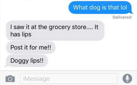 tastefullyoffensive:  Doggy lips. (via imgur)