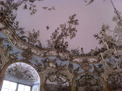 daughterofchaos: Schloss Nymphenburg in Munich, Germany Photo Source: barnyz &amp