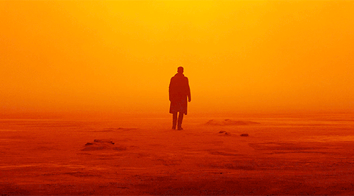 billvrusso:BLADE RUNNER 2049 (2017) dir. Denis Villenueve