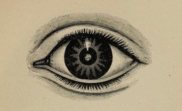 nemfrog:  nemfrog:  Optical truths. 1898.   Trending this week on Nemfrog.