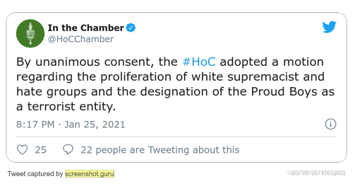 allthecanadianpolitics:The NDP’s motion calling for the Proud Boys to be named a White Supremacist g
