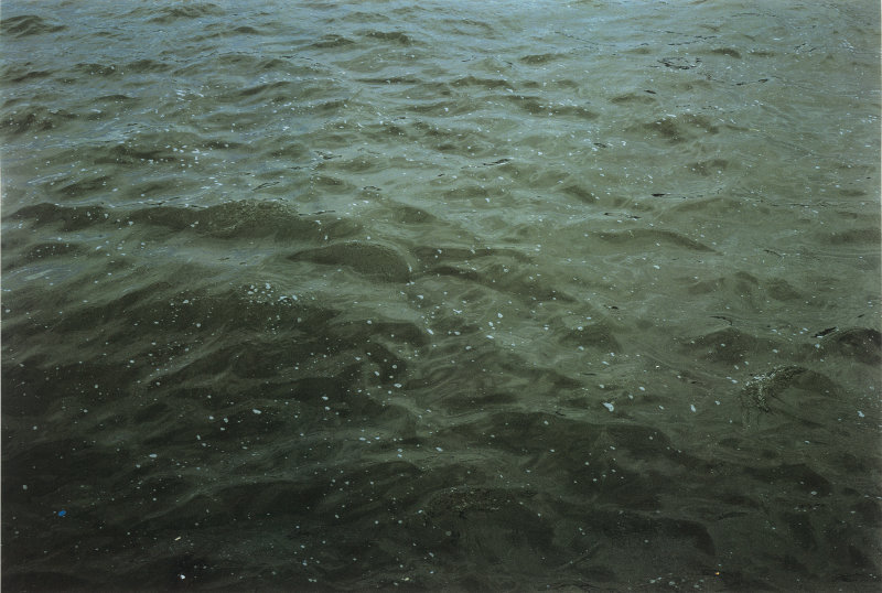 rthko:  Roni Horn, Images from “Some Thames” series, 2000