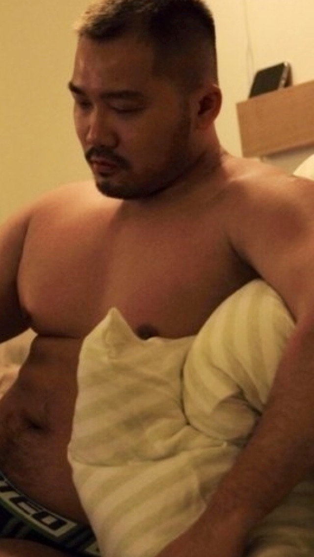 Asia bear