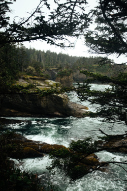 jonahreenders: cape flattery  Jonah Reenders