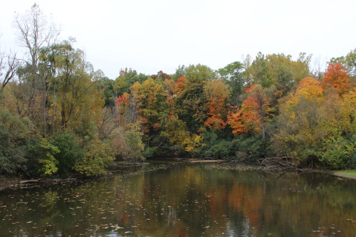 Hines Park Lakeview Trail, Livonia, MI (10/2019)