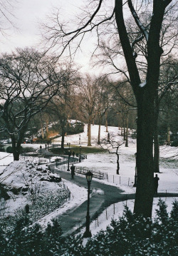 brutalgeneration:  path through the park