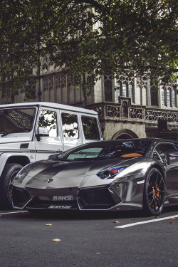 miaulinglove:  motivationsforlife:    Lamborghini
