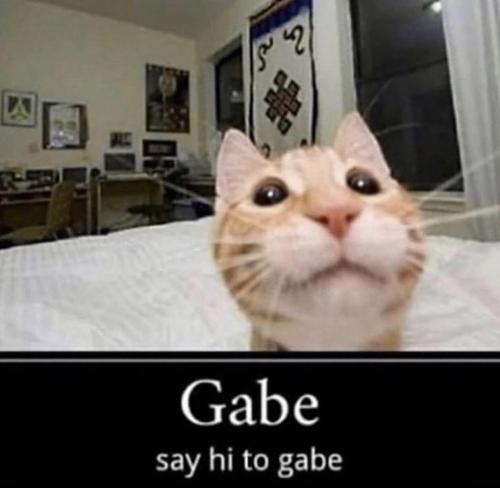 kittygallore