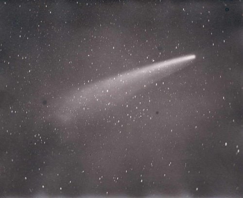 dame-de-pique: David Gill - Photograph of the Great Comet of 1882, as seen from South Africa