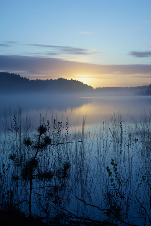 sundxwn:  Dawn at National Park Hoge Kempen by Sandro Meersman 