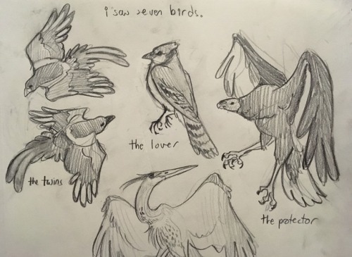 irradiatedsnakes:sketches for a possible paintingi saw seven birds:the twins (yellow billed magpie, 