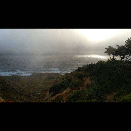 I stood at land’s end yesterday and watched a group of humpback whales dancing in the waves. So beautiful. I don’t know if it was the blast of mist up the canyon wall, being moved by nature’s spectacular work, or the overwhelming stress I’m under...