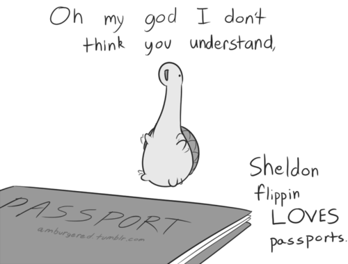 littlealpacacutie:  theperfectblogforlittles:  Reposting because I love Sheldon.  Sheldon! 