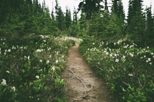 hannahkemp: Hiking in Washington Prints//Instagram