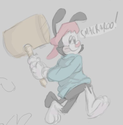 Wakko time