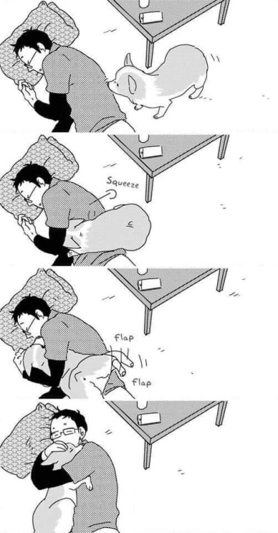 anime–irl:  anime_irl