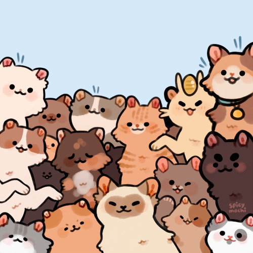 spicymochi:  feline friends
