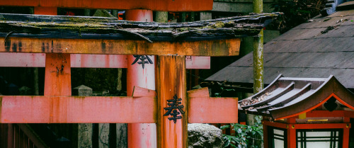 Fushimi Inari-taishaInstagram