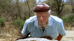 frivolouscake:  frosidon:  chalkandwater:  Sir David Attenborough demonstrates the accuracy of the Mozambique Spitting Cobra’s venom streams by wearing a chemically treated visor that makes the venom turn purple on contact. From Life in Cold Blood