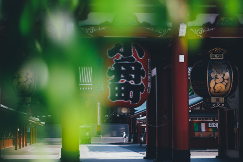 takashiyasui:Asakusa in the morning