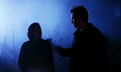 meredithgray-deactivated2018121:  the x files: five episodes[5/5] • bad blood        