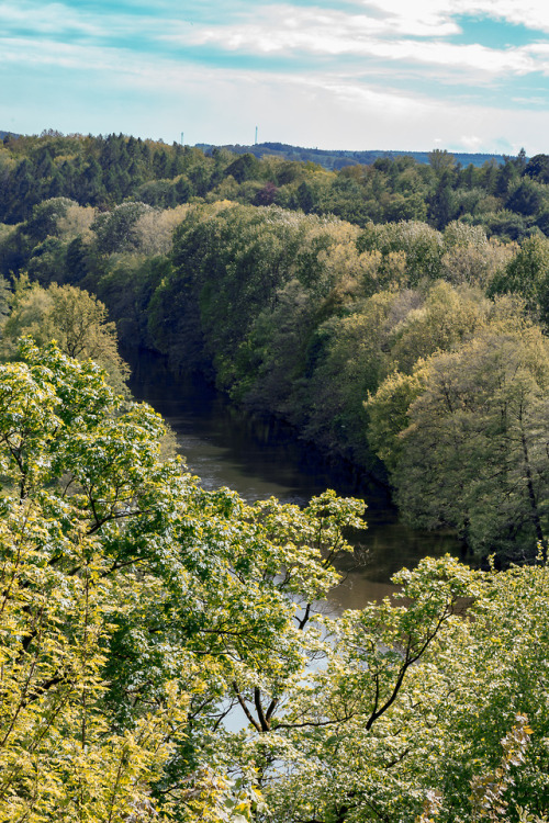 Down by the river.The river Zschopau near Castle Lichtenwalde, Spring 2018.