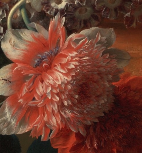 paintings-daily:Detail Jan van Huysum (Dutch) Vase of Flowers 17th C