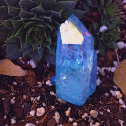 crystallauraa:  Aqua Aura point ♡